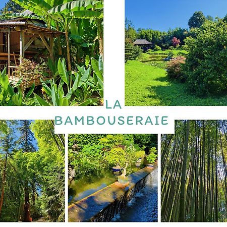 Gite Proche De La Bambouseraie Boisset-et-Gaujac Ngoại thất bức ảnh